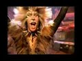 Cats The Musical DVD - The Rum Tum Tugger
