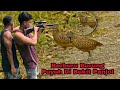 Berburu burung puyuh di bukit panjol | Aang Petualang | 2/1 - part 1