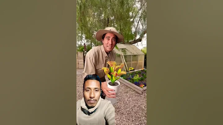 They're fine I'm sure 😅#shorts #funny #ytshorts