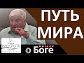 &quot;Путь мира&quot; - &quot;Мыслим о Боге&quot; - Пример из проповеди - Вячеслав Радион - Церковь &quot;Путь Истины&quot;