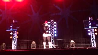 Anthrocon 2014 Fursuit Dance Competition -12- Flinch