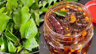 Sougri Achargongura Acharkenaf Leaves Pickle