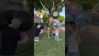 Double the Surprise: Our Twin Gender Reveal!