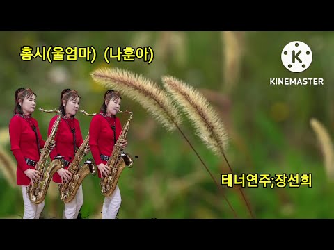 장선희색소폰~<strong>홍시</strong>(울엄마) <strong>나훈아</strong>