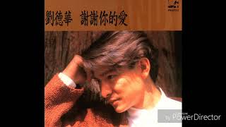 劉德華 Andy Lau - 記不住你的容顏
