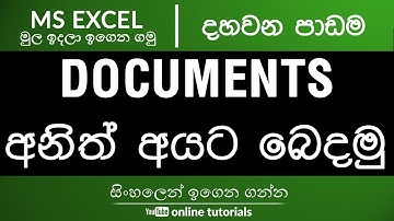 Microsoft Excel Beginner Course (Sinhala) Part 10 - Document Sharing and Permissions