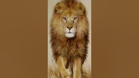 10 second SlideShow pt2