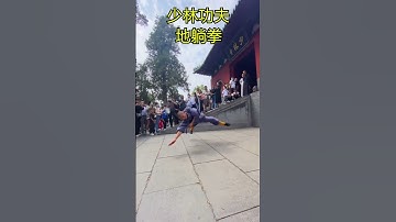 Shaolin Ground Lying Fist 少林地躺拳#kungfu  #shaolin