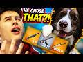I Let My Dog Pick My Fortnite Weapons…