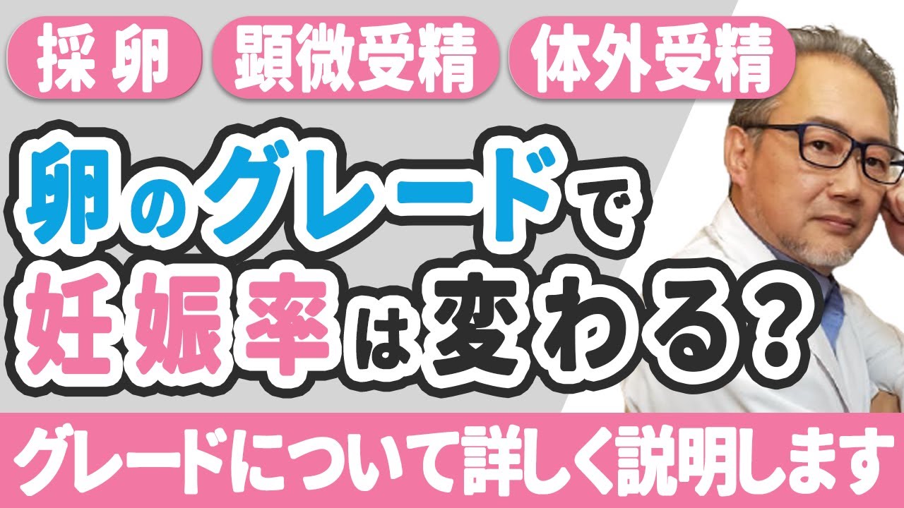【妊活】受精卵のグレードが妊娠率影響するの？！【体外受精】