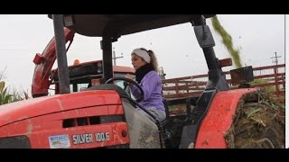 Az. Agr. Rosati in Insilato Mais 2016 [Extreme Silage in the Mud]