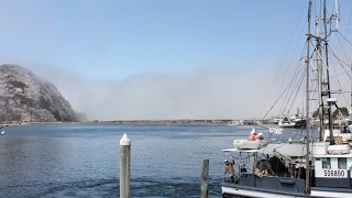 Famous LOGAN LIVE::   LISA BUNDY  UPDATE  WHAAAaaT..? Net Worth