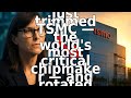 Cathie Wood’s ARK shows bullish stock buy, trims Taiwan Semiconductor