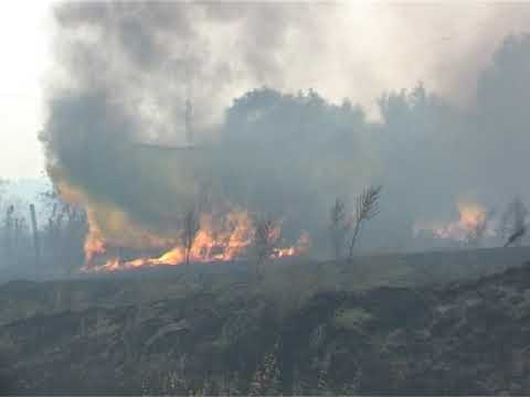 Пожар в селе Аблязово. Август 2010 год.
