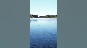 I Ll Fly Away Oh Glory I Ll Fly Away DJI Mini 3 Pro Skimming The Water 