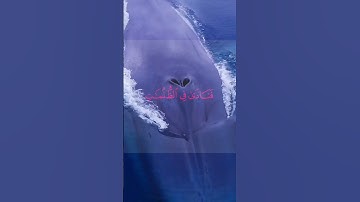 سورة الأنبياء