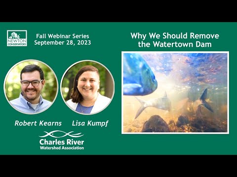 Why We Should