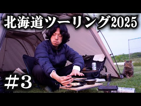 猫に囲まれて飯食う独身男【北海道ツーリング2025】3日目
