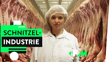 Was kostet ein Kilo Schwein in Deutschland?