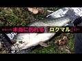 ロクマルが本当に釣れるワーム･ルアー解説【オカッパリ バス釣り 琵琶湖】