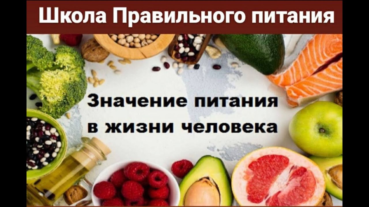 Роль питания в жизни организмов. Значение питания в жизни чело. Роль питания в ини человека. Важность здорового питания в жизни человека. Роль пищи в жизни человека.