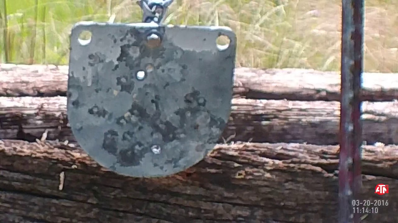 55gr sabot from a 300 win mag