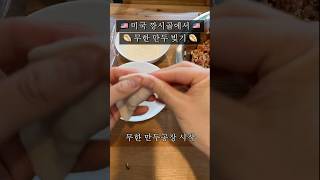 🇺🇸 미국 깡시골에서 김치 만두 빚기 🥟 | 살림 | 자취 요리 | 미국 일상 브이로그