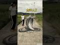He Drew a Snake on the Road… What Happened Next Shocked Everyone!#shorts #viral #trending