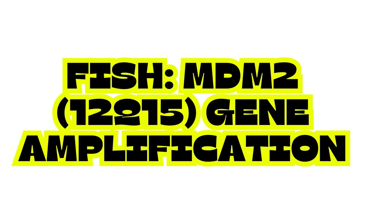 FISH: MDM2 (12q15) GENE AMPLIFICATION - YouTube