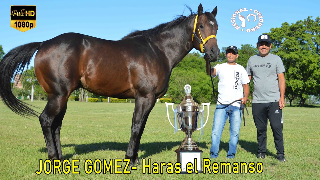 JORGE GOMEZ-  Haras El Remanso,Corrientes Argentina