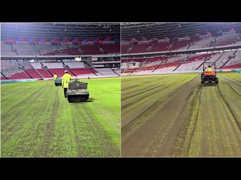 MAKIN CAKEP‼️RUMPUT GBK MULAI DIPOLES SAMA AHLINYA,BEGINI KONDISI TERKINI RUMPUT GBK