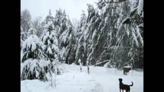 2013 - Photos de neige au chalet - Snow pictures at cottage