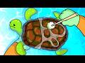 Higo Helps a Baby Turtle Return to Safety | ASMR Animation | Life in Shirakawa