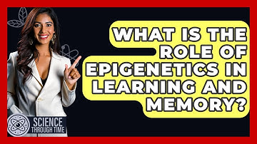 What Is The Role Of Epigenetics In Learning And Memory? - Science Through Time
