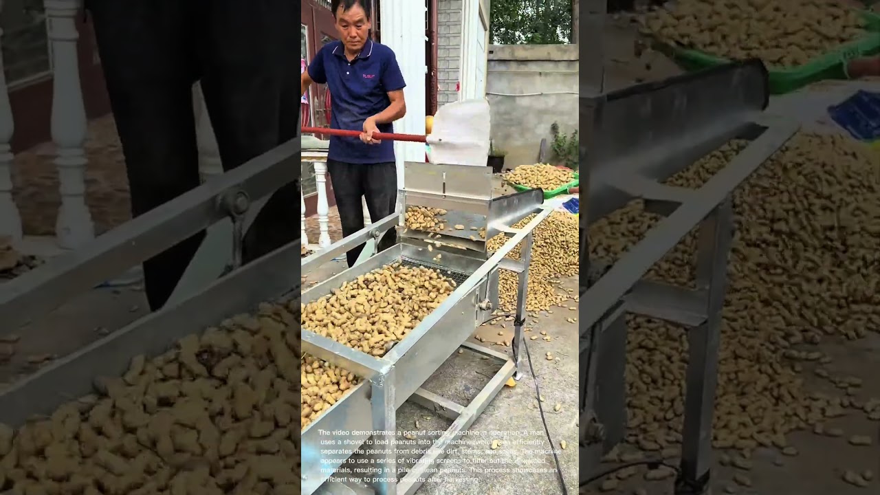 Peanut Sorting Machine: Efficiently Separating Peanuts from Debris