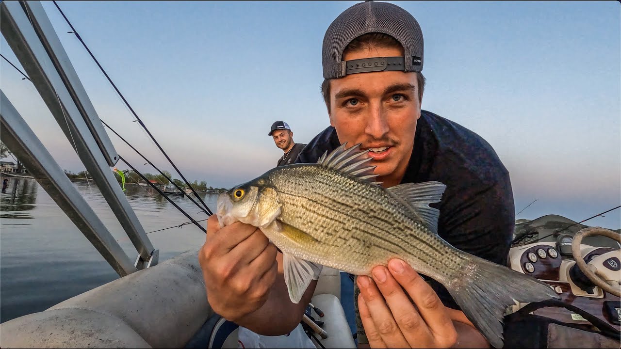 How to Catch White Bass (RARE FISH CAUGHT) YouTube