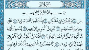 سورة يس ماهر المعيقلي Surah Yasin Maher Al Muaiqly #اكسبلور #تيك_توك #راحة_نفسية #لطيفه