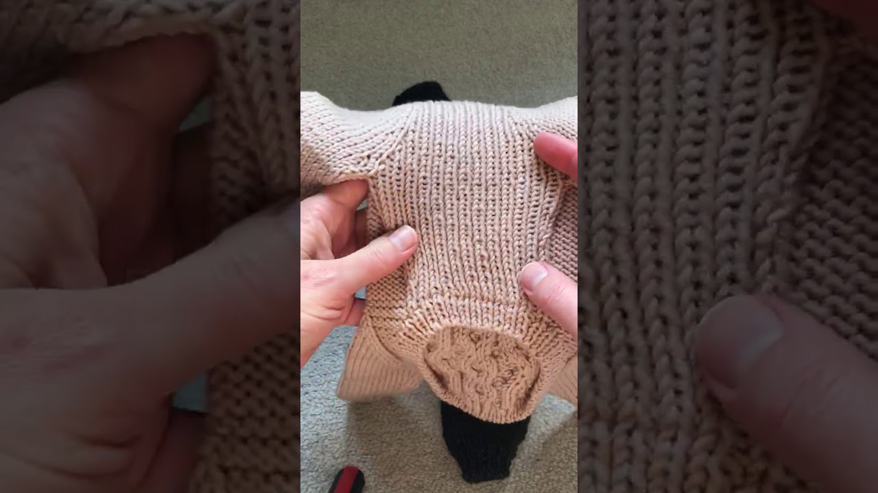 Комбинезон для собаки - тонкости и нюансы вязания