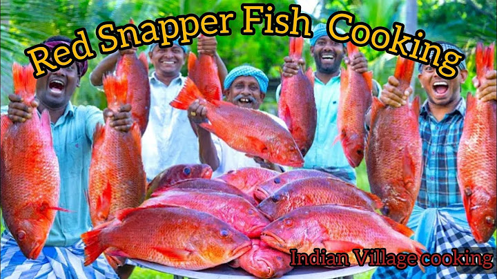Red Snapper Fish Recipe | Big Fish Grill Recipe Indian Village Cooking | Fish fry in clay