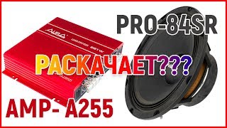 Эстраду Swat PRO 84SR раскачивает мостом Aura AMP A255 нервным не смотреть