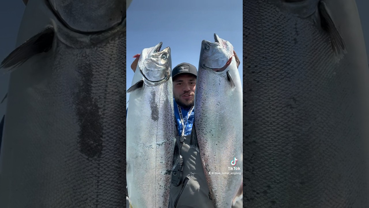 Ловля лосося на озере Онтарио 