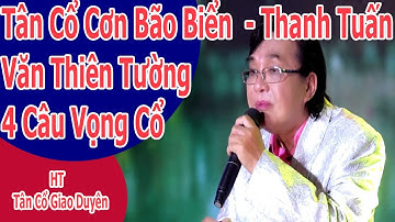 Tân cổ Cơn Bão Biển Thanh Tuấn | HT Tân Cổ Giao Duyên
