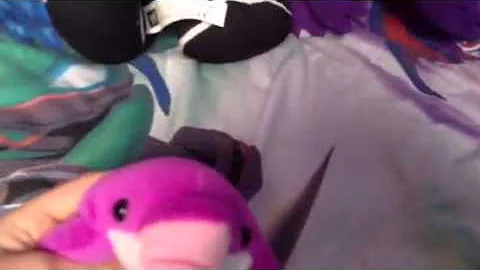 Plush toy collection