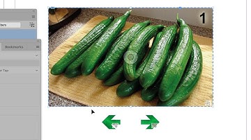 Interactive Slideshows in Adobe InDesign CC (2)