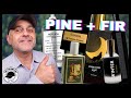 AWESOME PINE AND FIR FRAGRANCES | FRAGRANCES THAT SMELL LIKE A PINE FOREST | PINE PERFUMES
