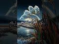 Quran Recitation Quran Quranforeever Quranrecitation Shortvideo Motivation 