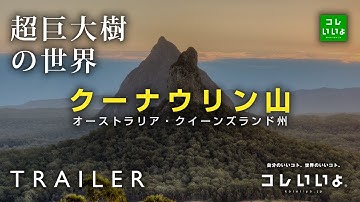 『超巨大樹の世界・予告』クーナウリン山（オーストラリア・クイーンズランド州）　コレいいよ.JP