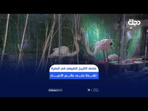متحف التاريخ الطبيعي في البصرة.. نافذة على عالم الأحياء