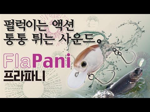 [TIMON] FlaPani(프라파니) 펄럭이는 액션과 통통 튀는 사운드!  프라파니 해설