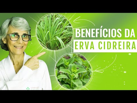 Vídeo: Usos medicinais da erva-cidreira: quais são os benefícios da erva-cidreira